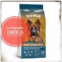 Divinus Performance dla owczarka 20kg-Darmowa dost-Pobranie GLS