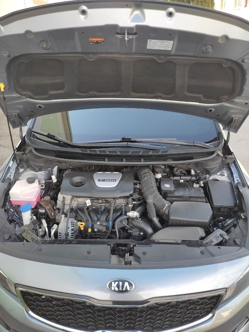 Kia Forte 1.6 T-GDI EX 2017 рік