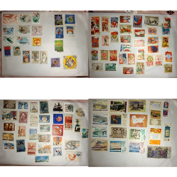 Марки ( автомобили, корабли, животные и т.д.)