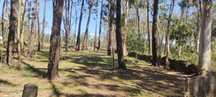 Terreno florestal Esposende perto do Rio