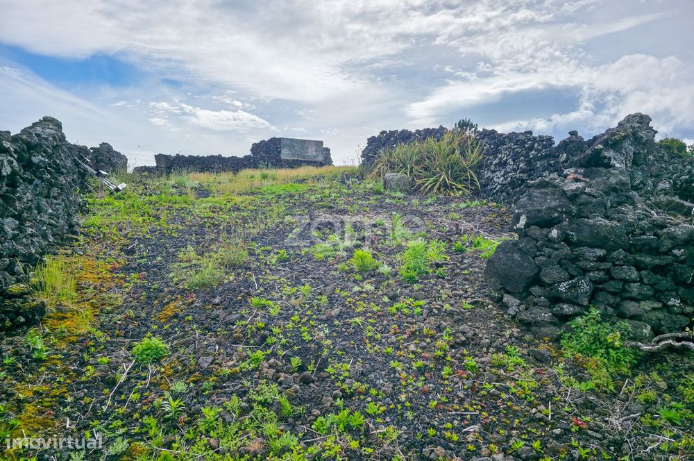 Terreno Rústico com Vinha nos Toledos, Madalena, Ilha do Pico