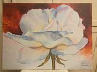 Obrazek duży róża kwiat 60x80 cm pokój salon