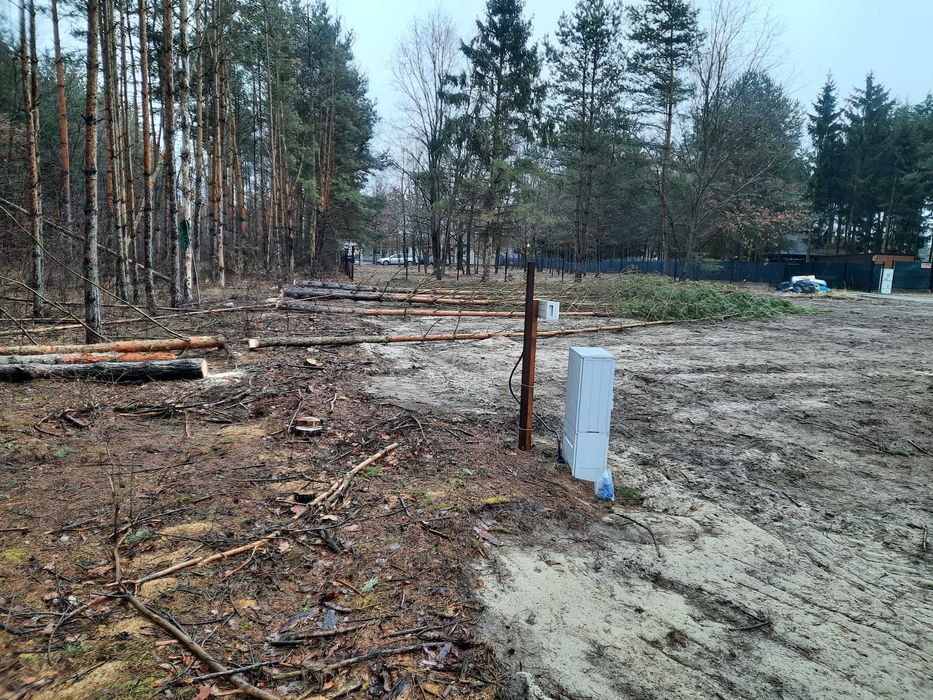 Drewno opałowe iglaste częsciowo gotowe do transportu.