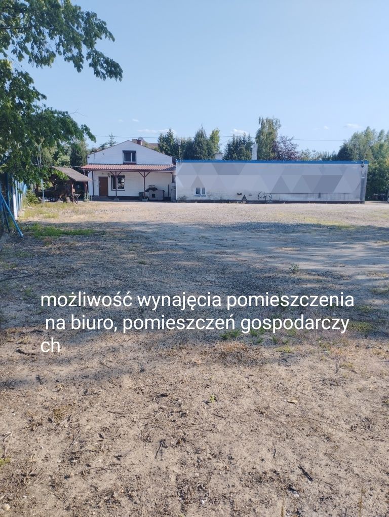 Plac do wynajęcia koło Łęczycy