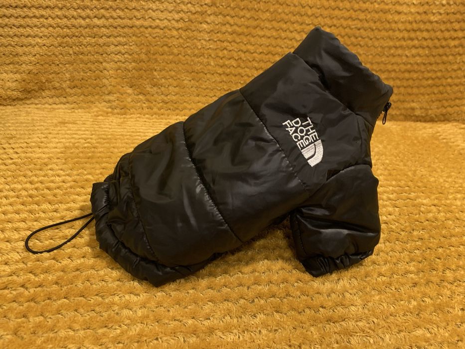 Modna Kurteczka dla pieska The Dog Face