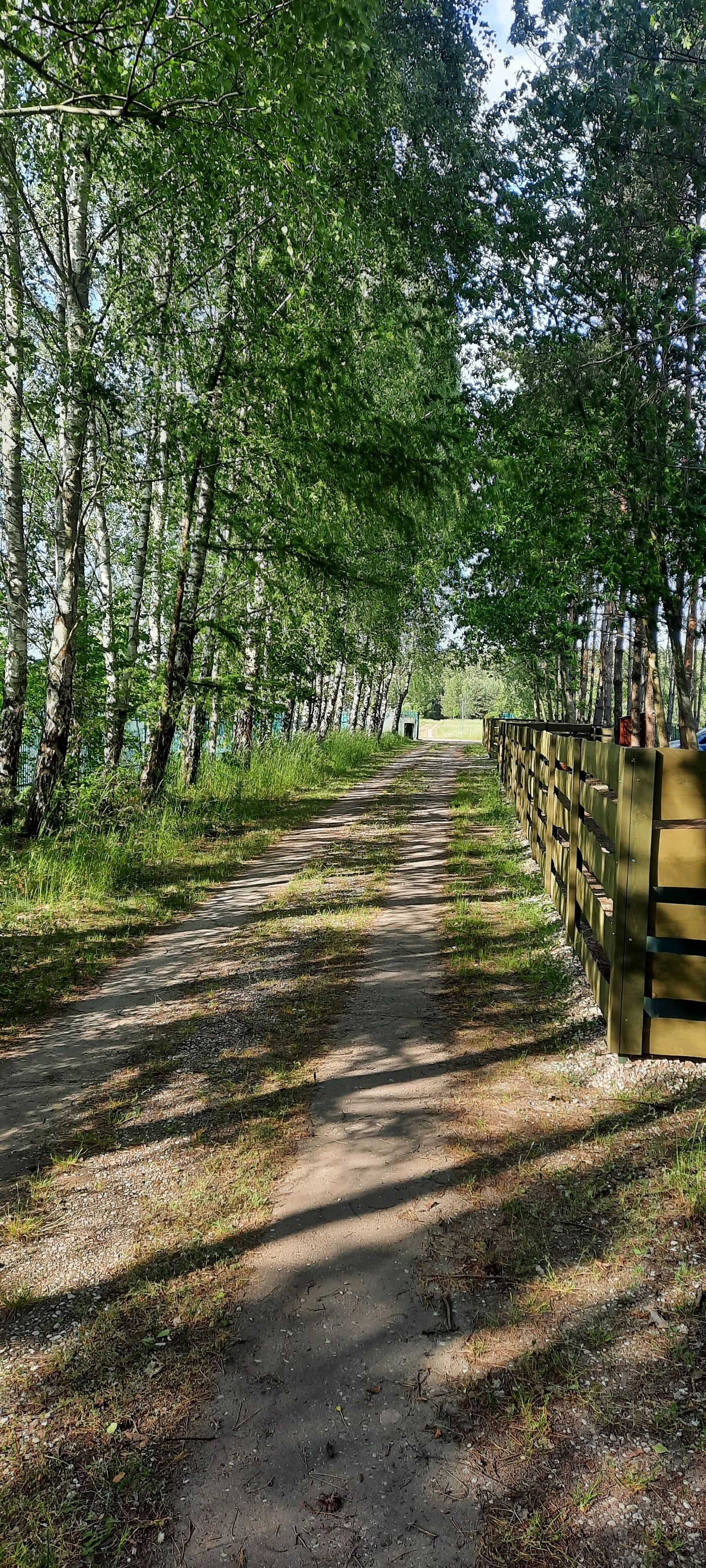 Domek na Mazurach w zagajniku  przy jeziorze + sauna