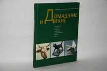 Книги об искусстве. Домашние и дикие