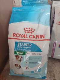 Royal Canin корм для котів та собак