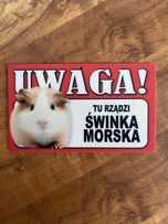 Tabliczka ,,świnka morska”