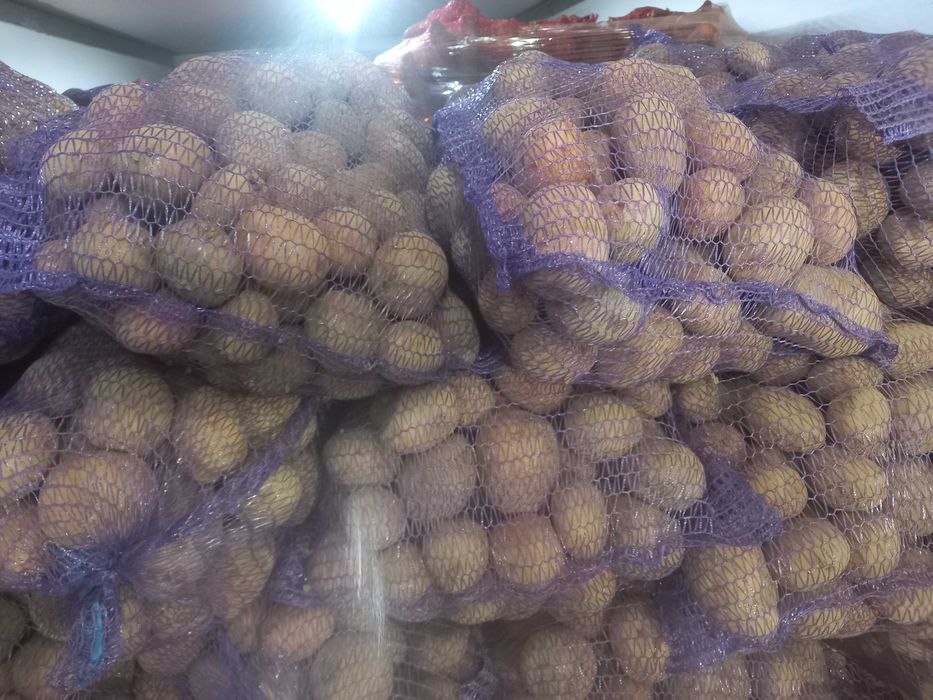 Zboże Pszenica Owies Ziemniaki