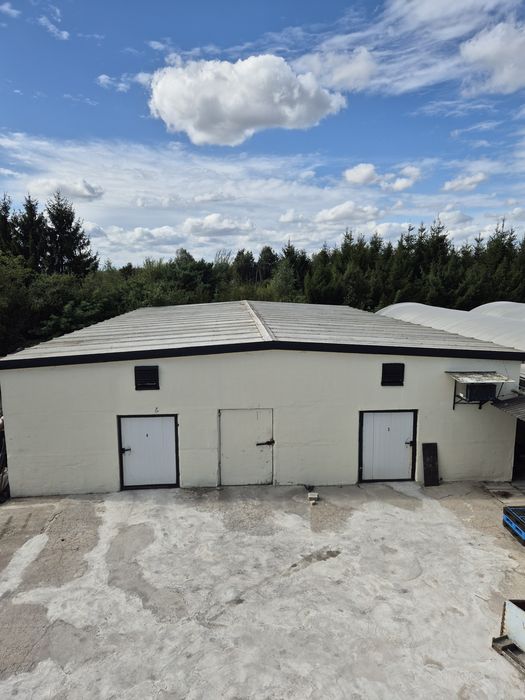 Wągrowiec Hale Magazynowo-Usługowo-Produkcyjne do Wynajęcia 300m2