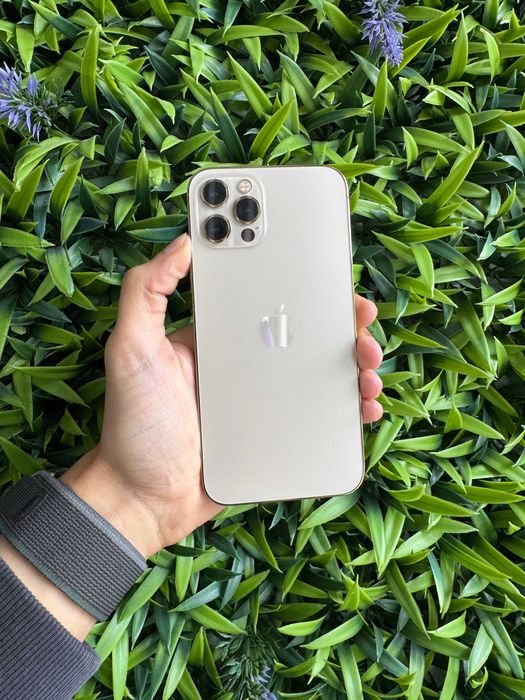 Apple iPhone 12 Pro 128GB Dourado - Loja Ovar
