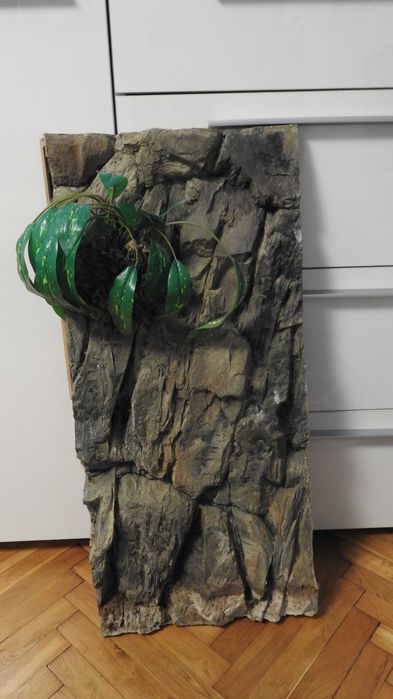 Ścianka pasuje do terrarium 40cm na 80 cm.