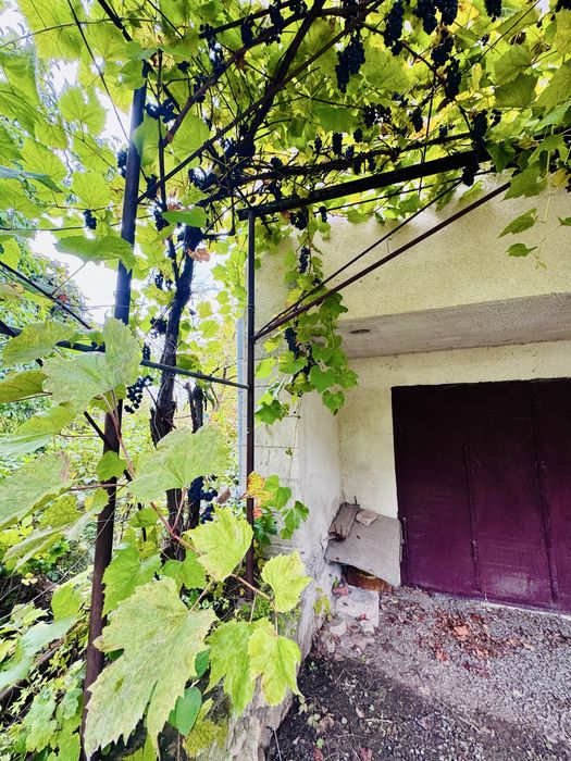 Продаж дачного будинку с.Івачів Горішній