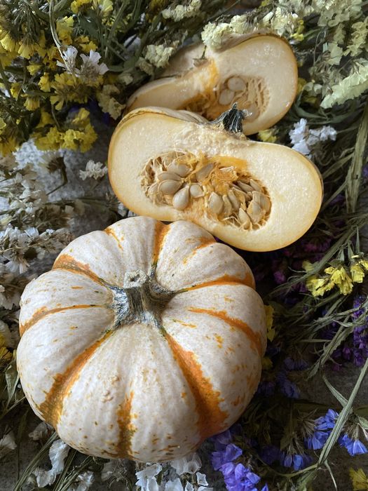 Семена тыкв гарбузів Baby Boo, Tiger Stripes, Sweet Dumpling, Тюрбан