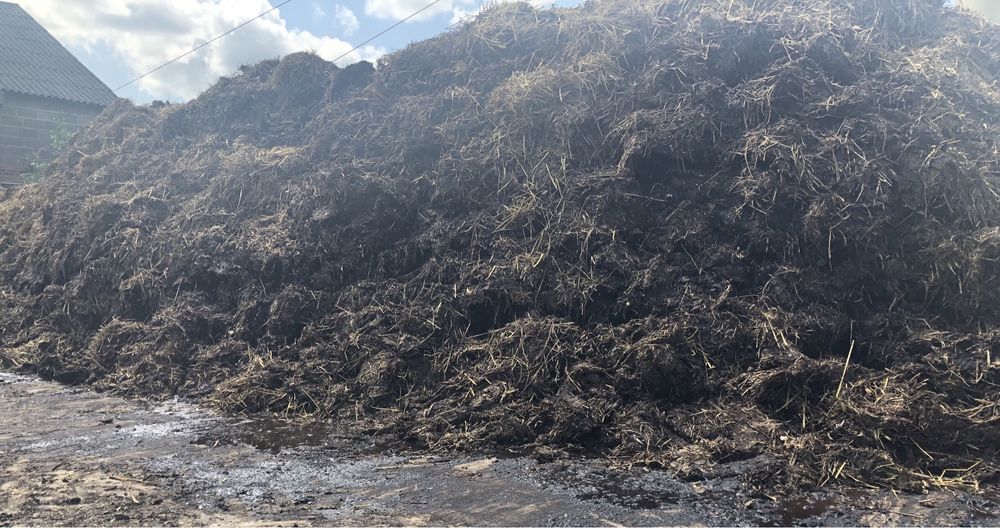 Sprzedam obornik bydlęcy