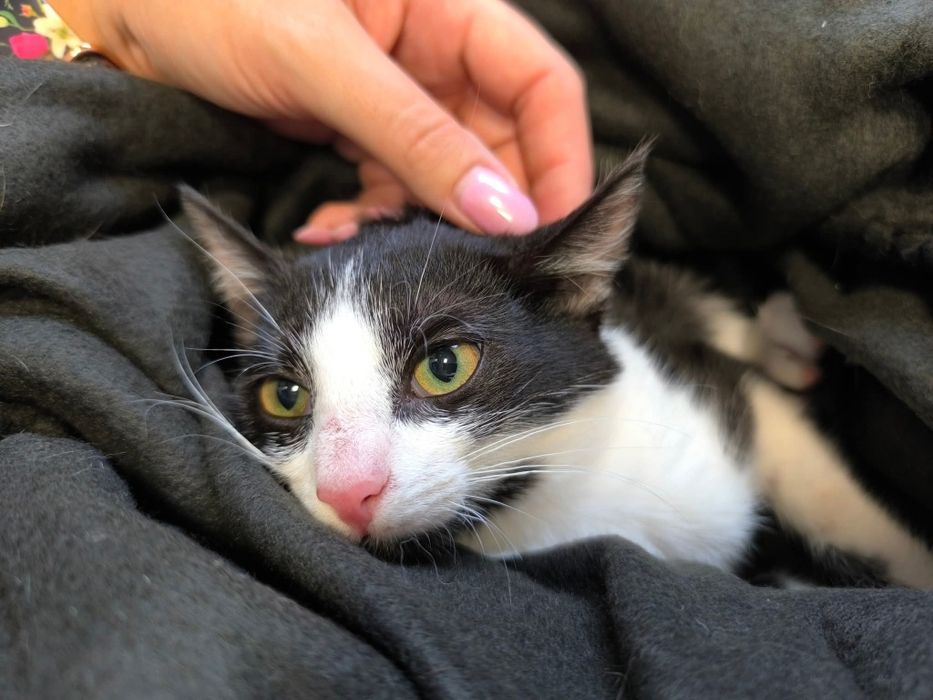 Ile jeszcze czasu musi minąć, aby ktoś je pokochał?..