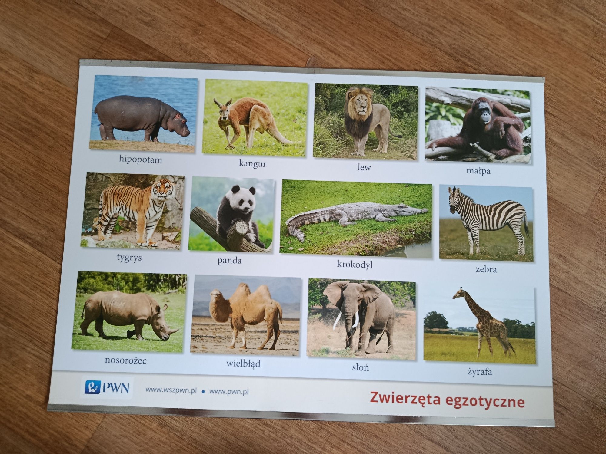 Plansze demonstracyjne do przedszkola/szkoły