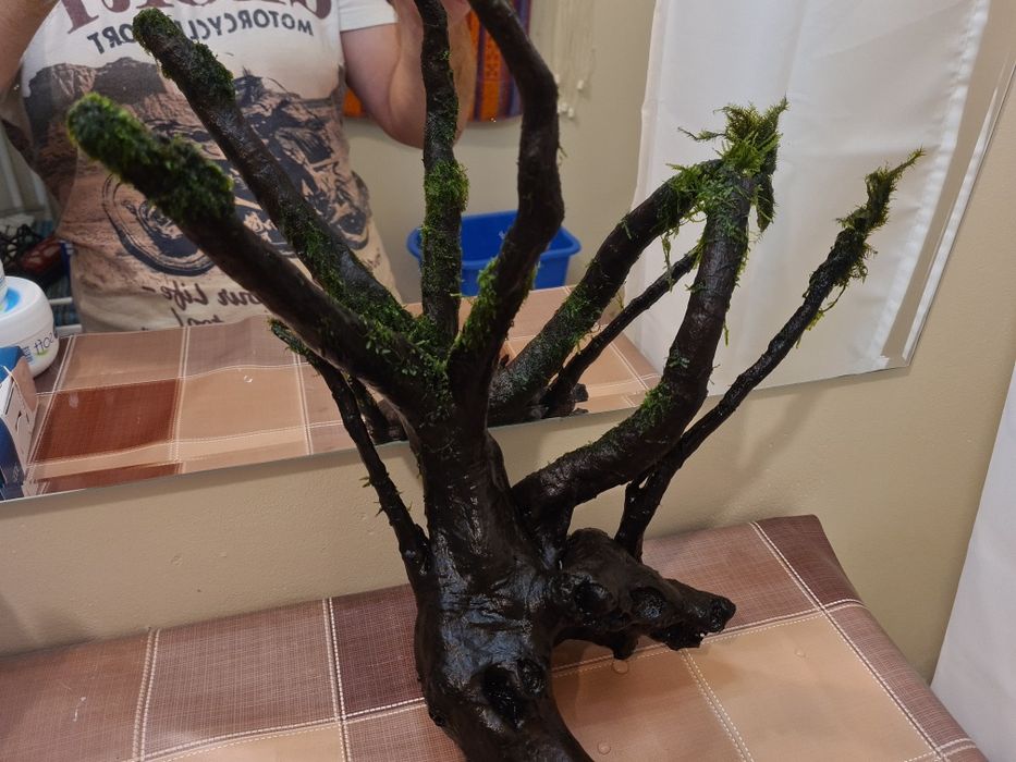 Korzeń Dark Wood z życiem, piękna tekstura drewna, doda uroku akwarium