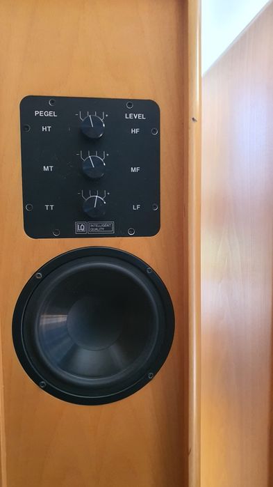 Bezbłędnie punktowy bass kolumny IQ system 200 rozdzielczość jakość
