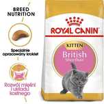 Karma dla kociąt, kotek w ciąży/karmiących Royal Canin BRYTYJCZYK 2kg