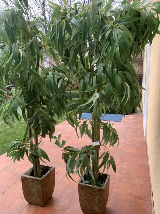 Пальма штучна Elisey