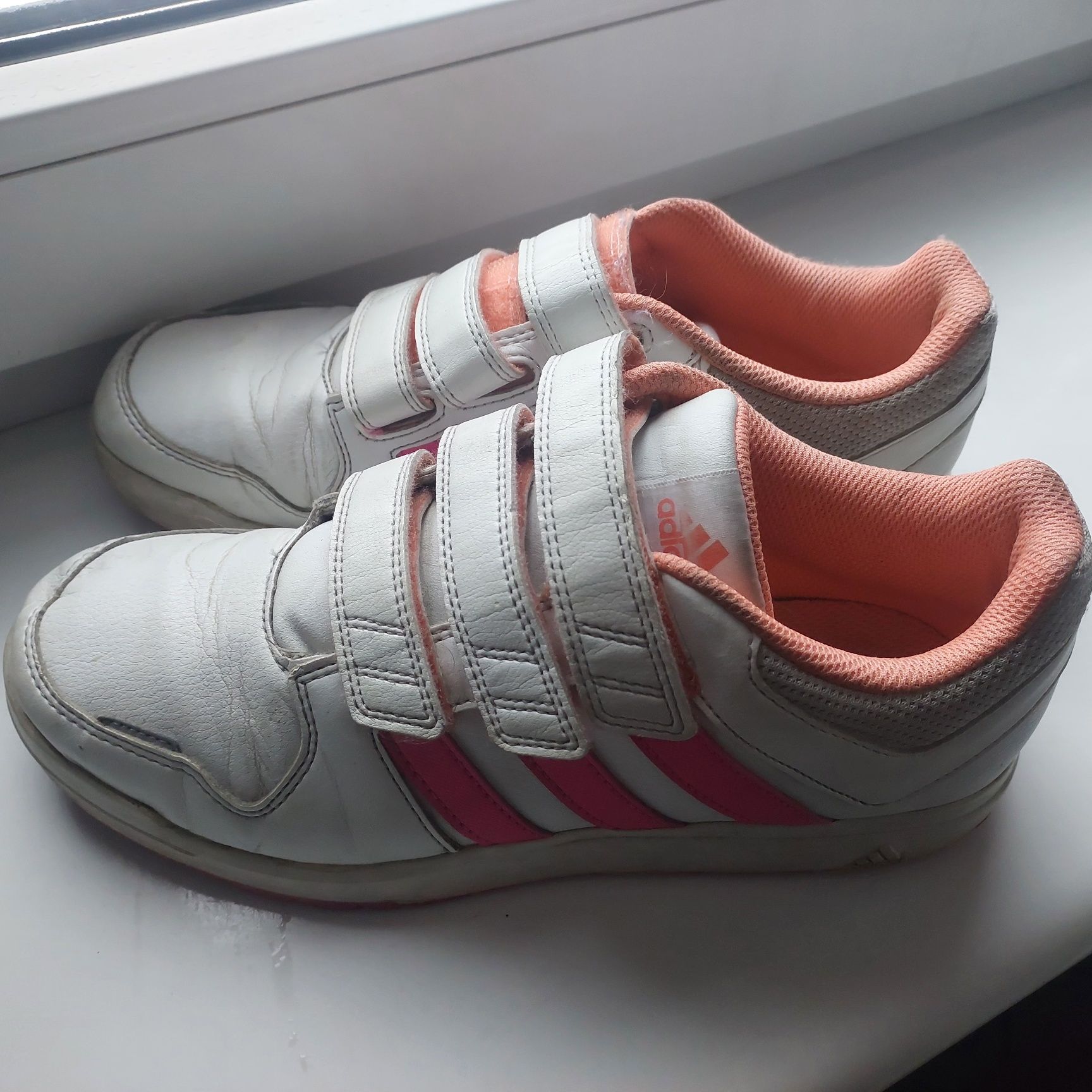 Adidas 37 i 1/3 na rzepy