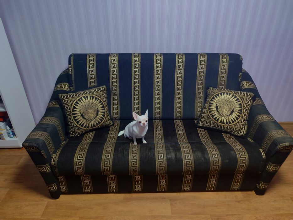 Диван фирмы"Катунь"