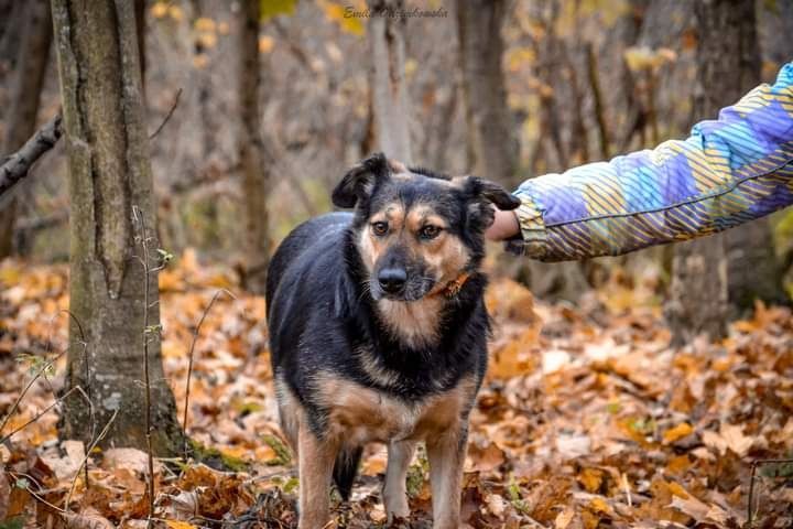 Kochana sunieczka zasługuje na swój Domek i Rodzinę!