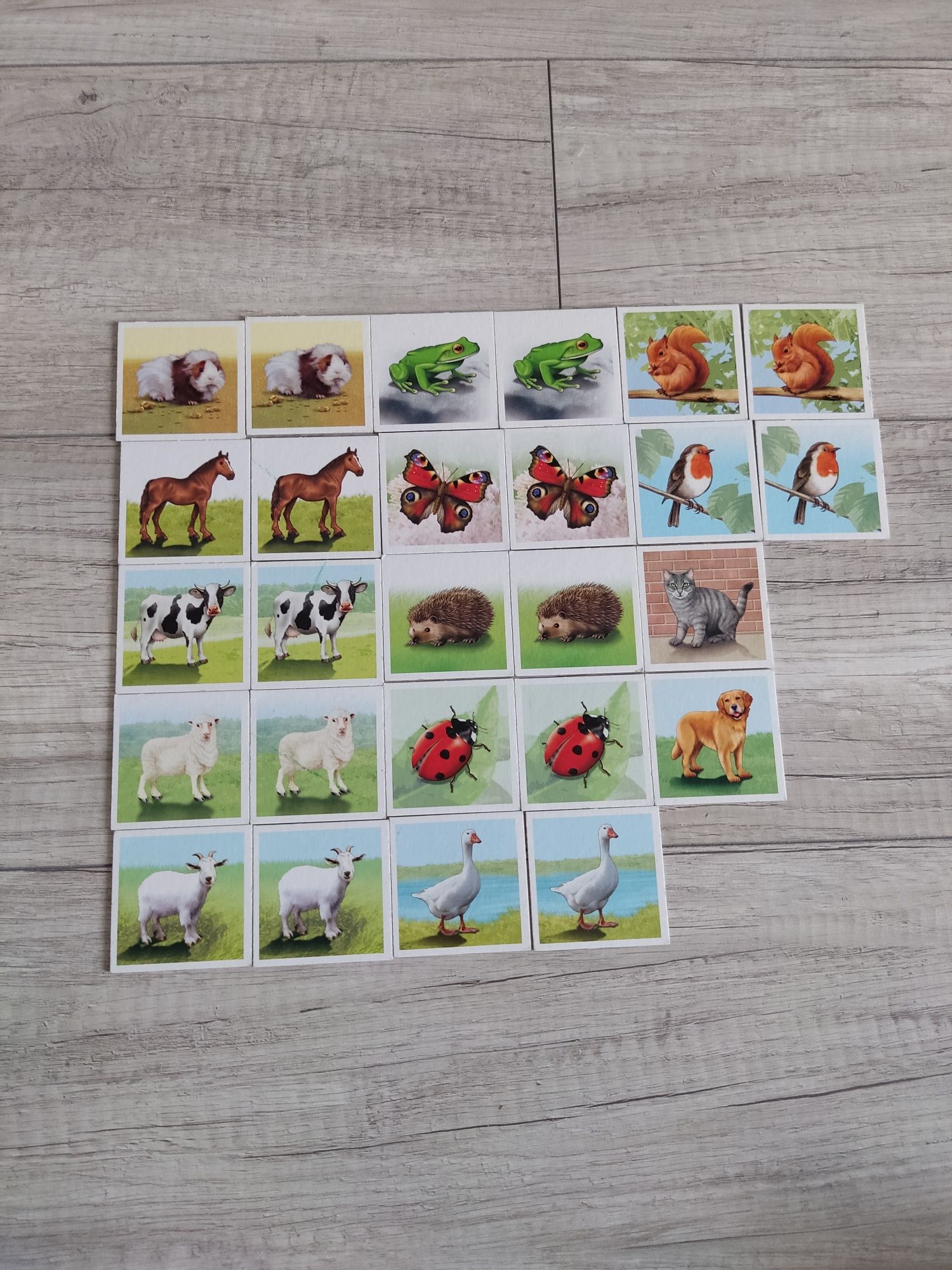 Memory les animaux - edukacyjna gra dla dzieci