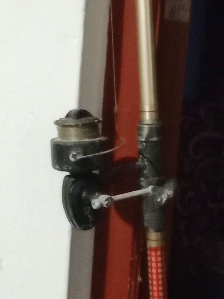 Vendo cana de pesca