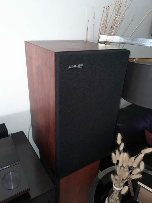 Colunas Pioneer HPM 100