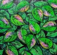 Інтер'єрна картина ,,зелене листя,, 50*50