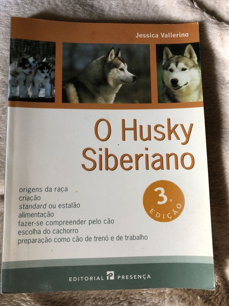 Husky e Coelhos Anões