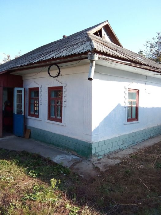 Будинок з великою ділянкою