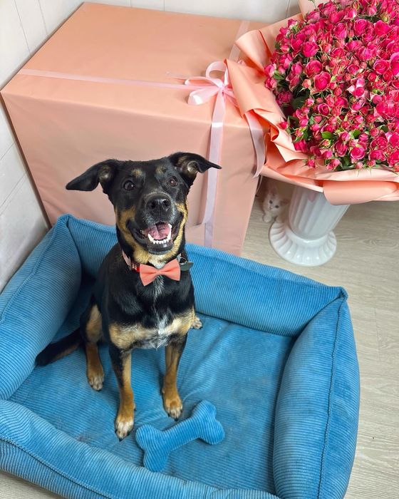 Габі шукає родину