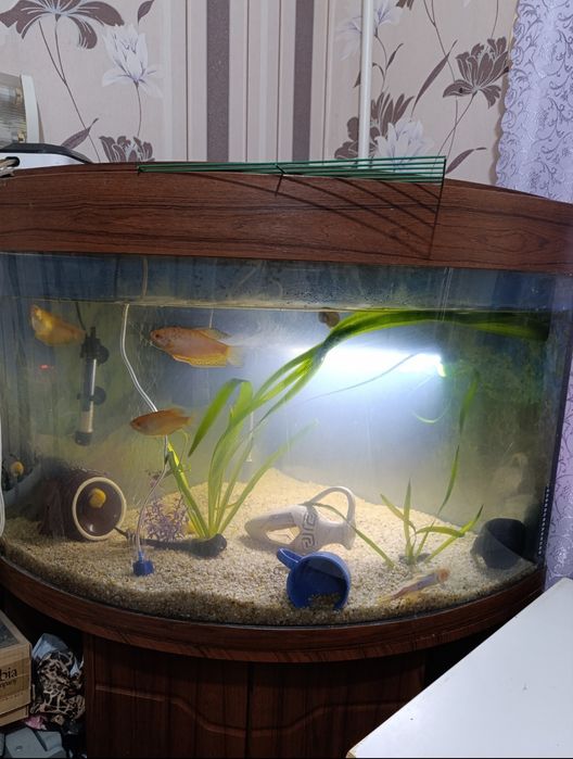 Аквариум с тумбой на 190 л бу