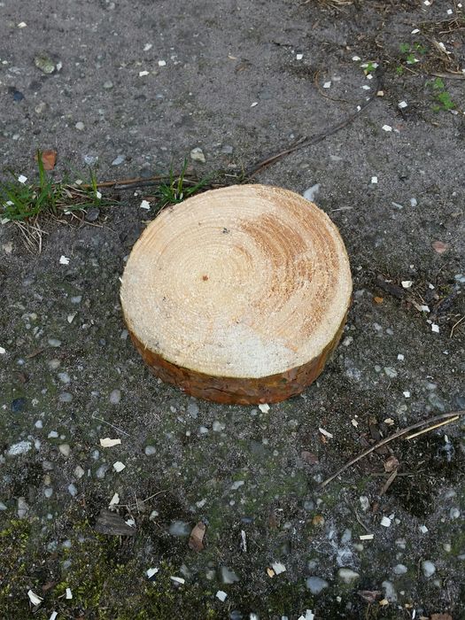 Krążek dekoracyjny