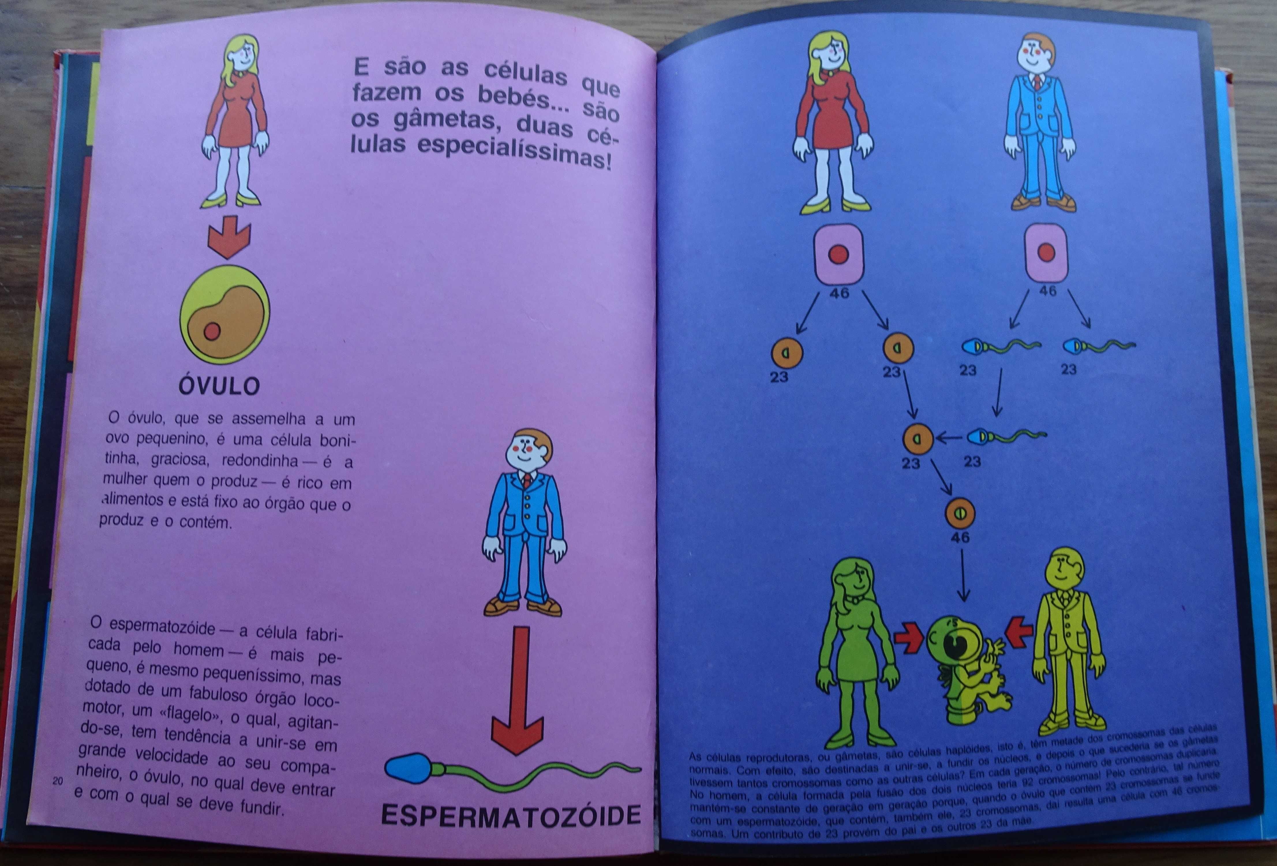 O Segredo das Cegonhas (Porquê-Quando-Como-Donde Nasce Uma Criança)