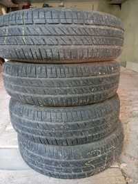 Літні шини Debica Passio 2 165/65 R14 79T