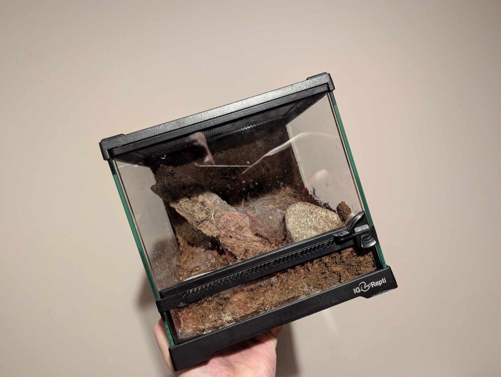 Terrarium 20/20/20 kostka z wentylacją i wystrojem okazja !