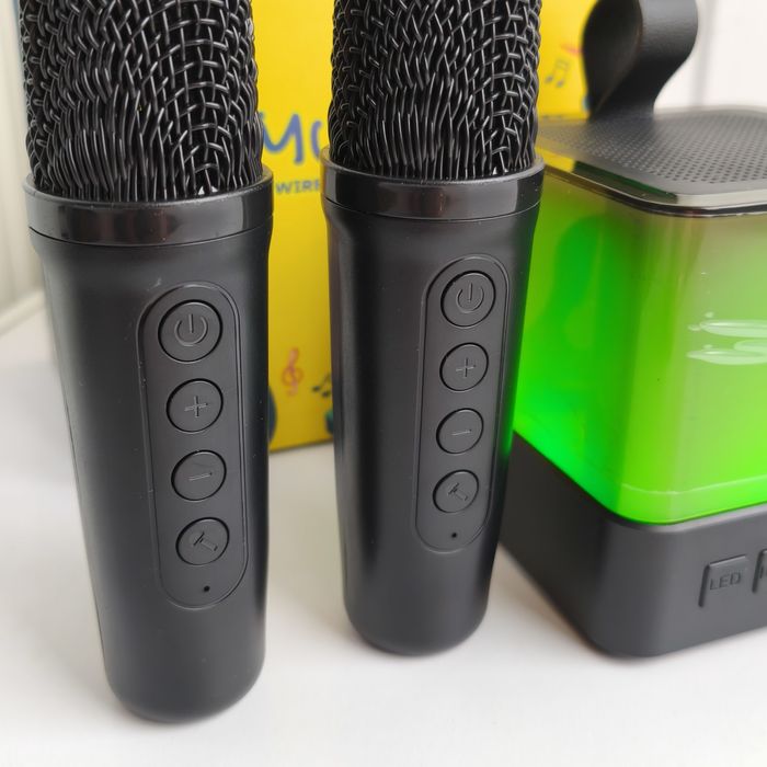 Портативна Bluetooth колонка-караоке із двома мікрофонами