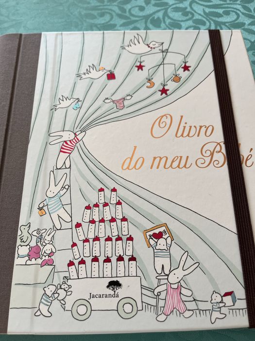 Livro do meu primeiro Bebe - 4a edição