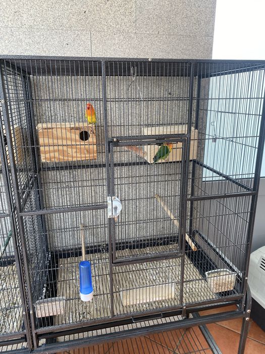 Viveiro para aves exóticas