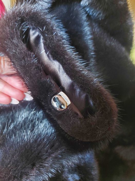 Норкова шуба. Чорний колір. 100 см довжина.