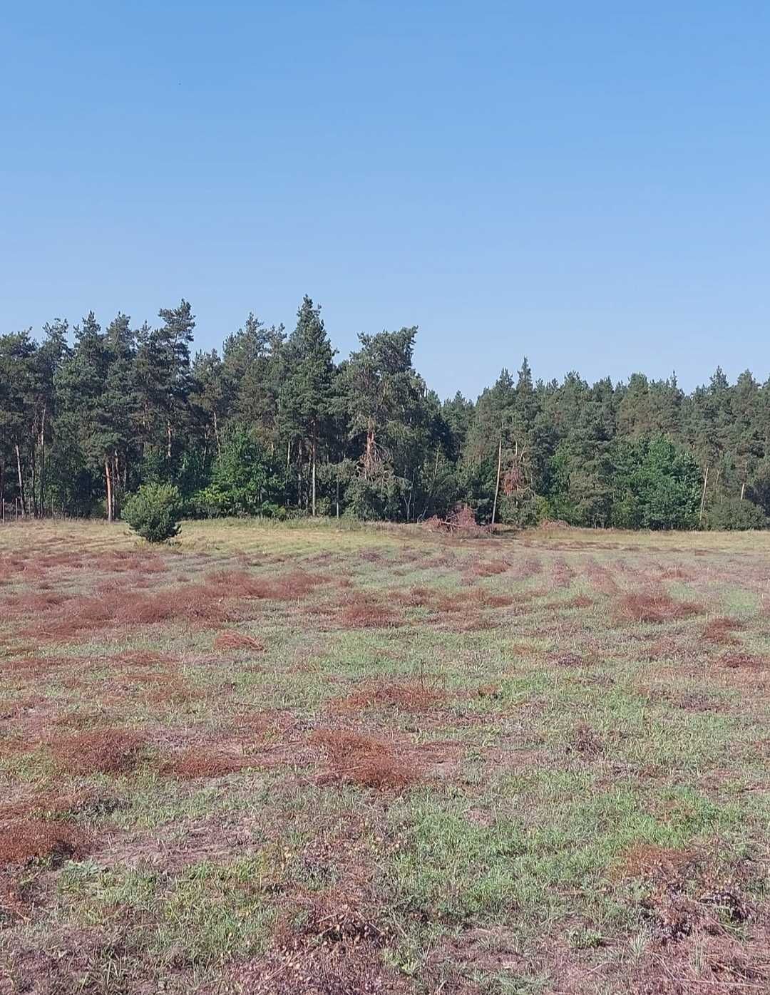 Sprzedam działkę budowlaną 2000m2 z trzech stron las.