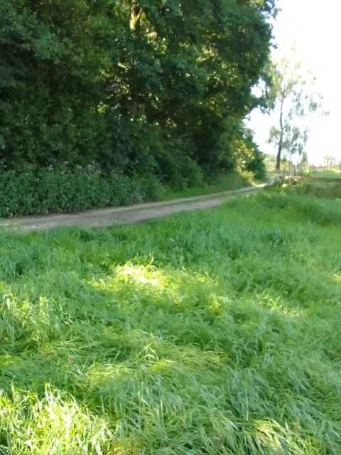 Działka nad jeziorem Jeziorak 30 arów