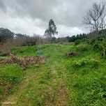 Terreno  para venda