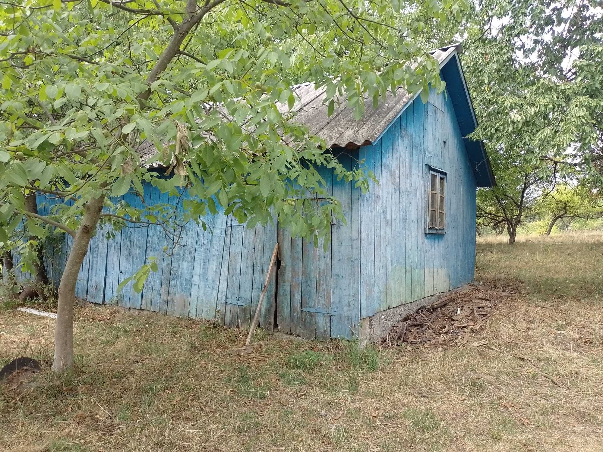 Будинок в Бедевлі приселок (Дубрівка)