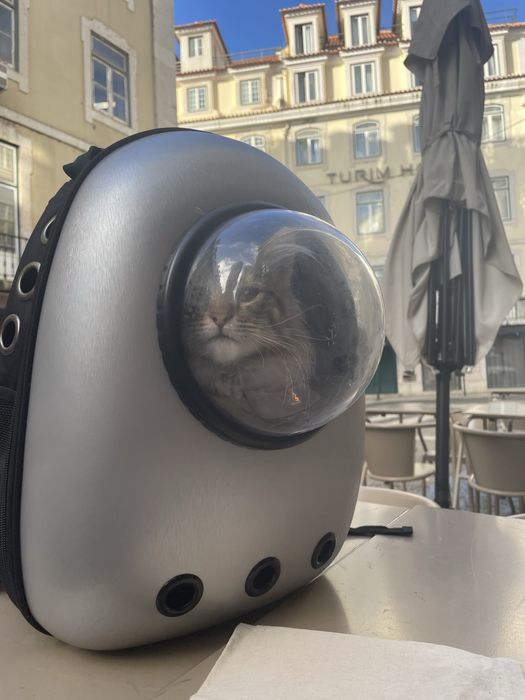 Transportadora mochila gato pequeno